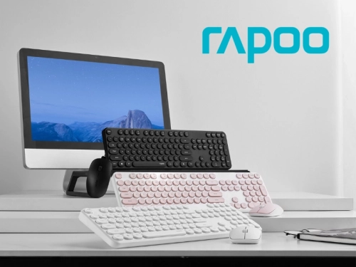 SMB Guide: Why Working with a Rapoo IT Distributor Is Smarter than Buying Retail